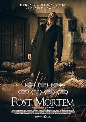 Post Mortem poster