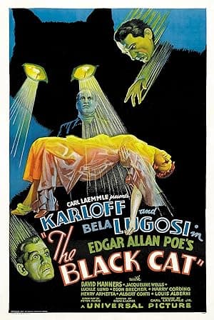 The Black Cat poster