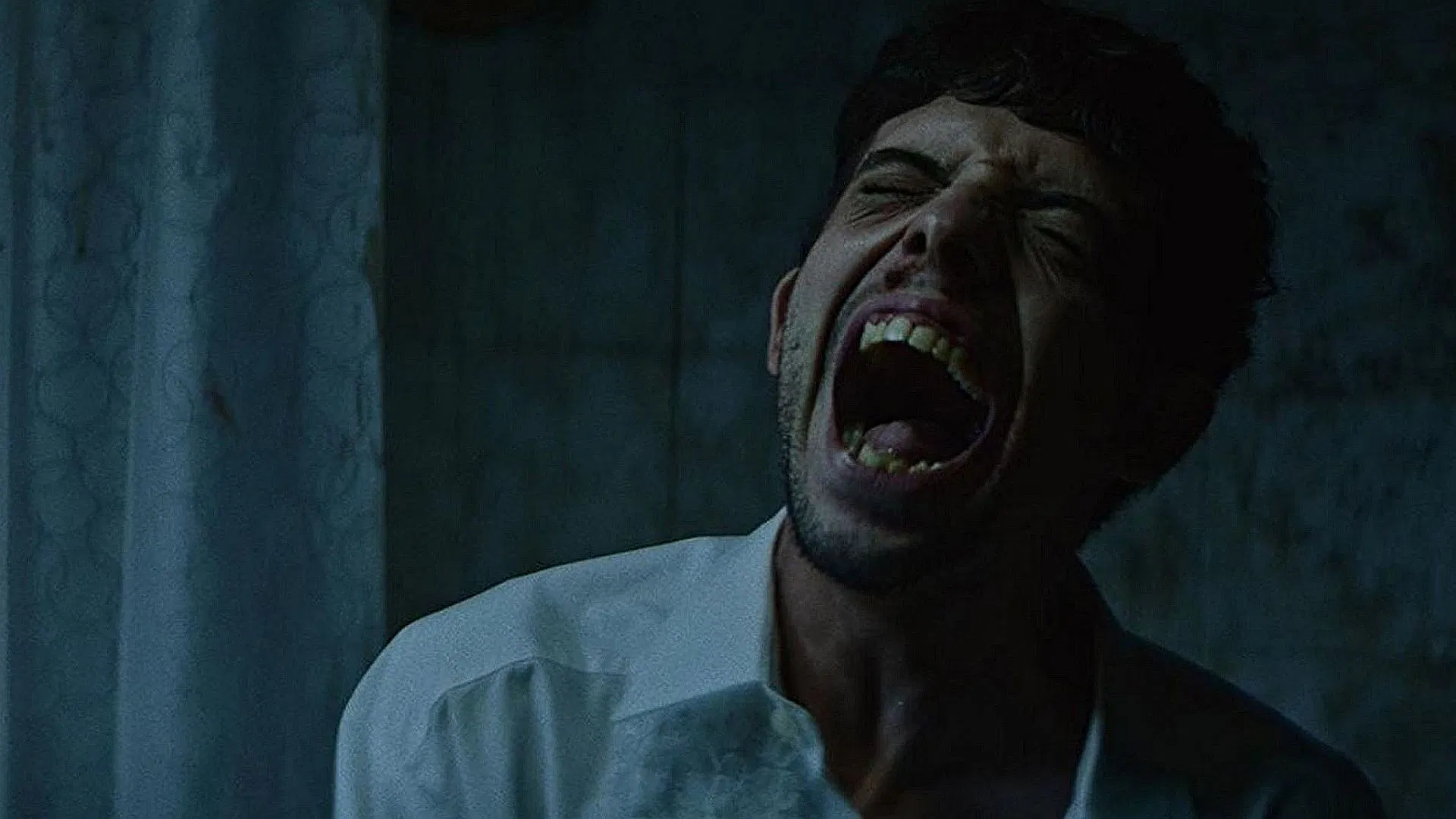 The Night of the Virgin backdrop